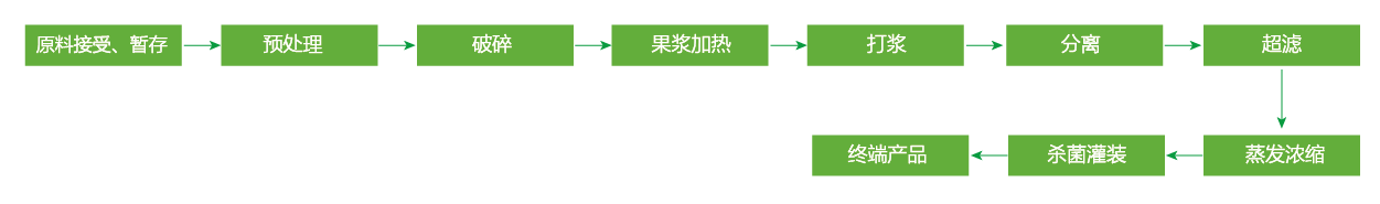 藍(lán)莓、草莓、桑葚濃縮汁